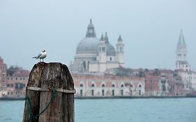 Ca San Polo Venice